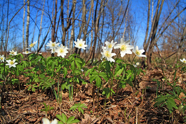 Similar image 881419