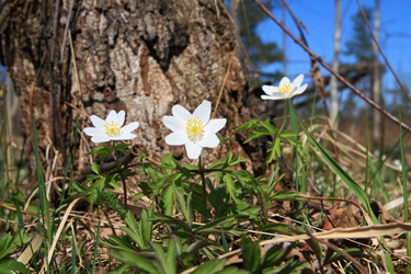 Similar image 881420