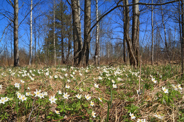 Similar image 881422