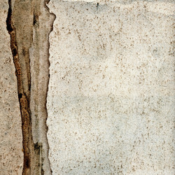 Similar image 881441