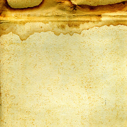 Similar image 881460