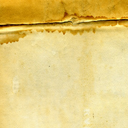 Similar image 881462