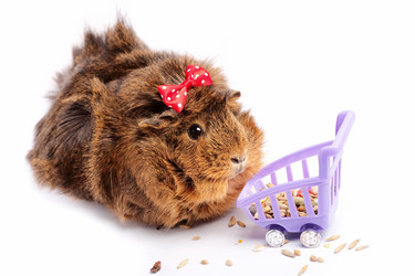 Similar image 881496