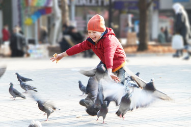 Similar image 881498