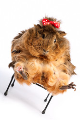 Similar image 881499