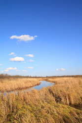 Similar image 881517