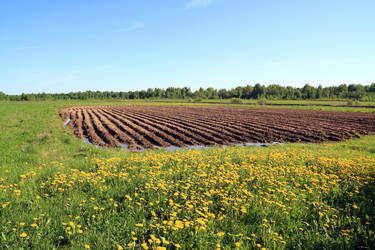 Similar image 881524