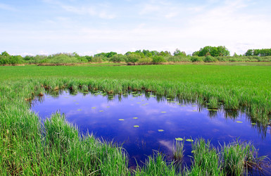 Similar image 881526