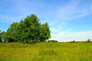 Similar image 881528