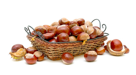 Similar image 881532