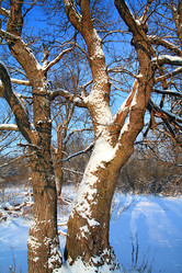 Similar image 881536