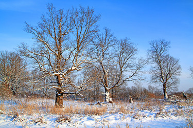 Similar image 881540