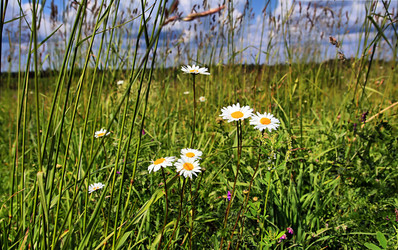 Similar image 881550