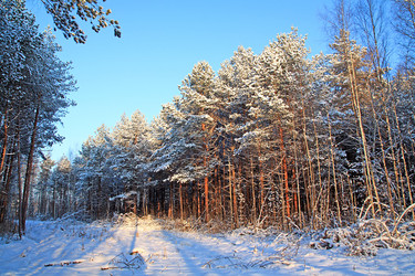 Similar image 881552