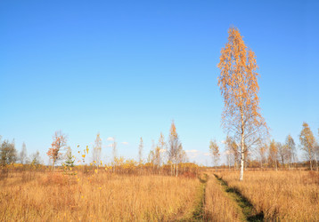 Similar image 881553