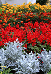 Similar image 881556