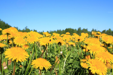 Similar image 881562