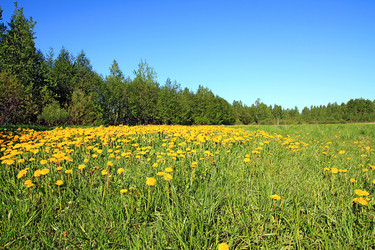 Similar image 881567