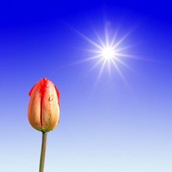 Similar image 881572