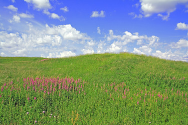 Similar image 881577