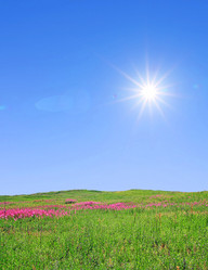 Similar image 881595