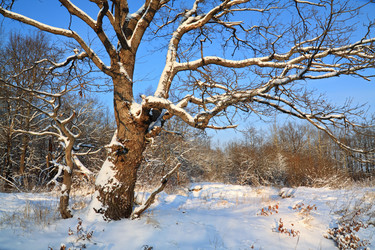 Similar image 881618