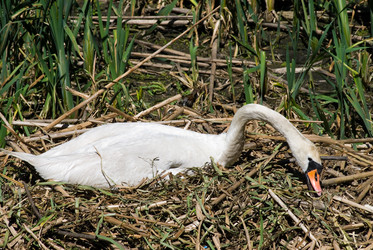 Similar image 881669