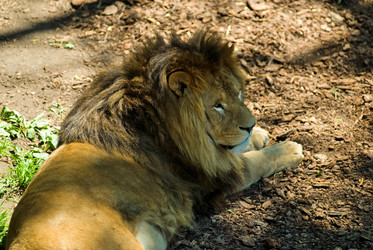 Similar image 881674