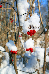 Similar image 881706