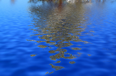 Similar image 881707