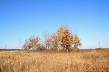 Similar image 881709