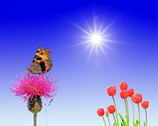 Similar image 881739