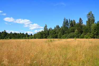 Similar image 881742