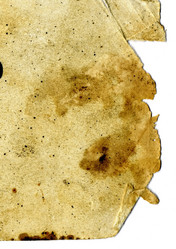 Similar image 881745