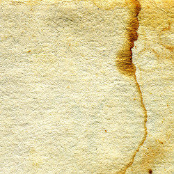 Similar image 881769