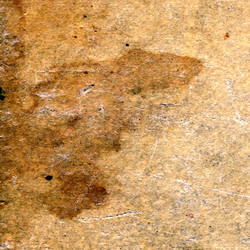 Similar image 881776