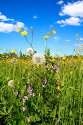 Similar image 881796