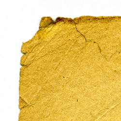 Similar image 881813