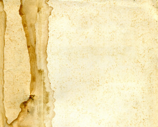 Similar image 881820