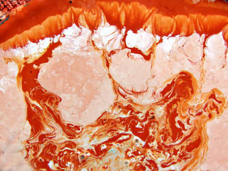 Similar image 881836