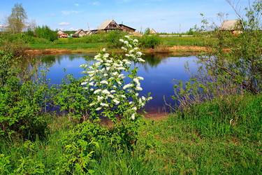 Similar image 881837