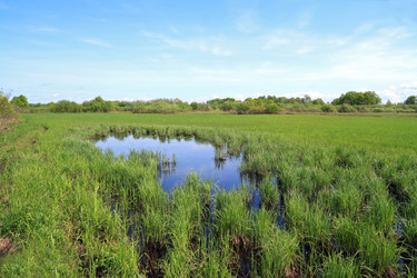 Similar image 881839