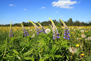 Similar image 881843