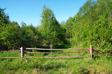 Similar image 881844