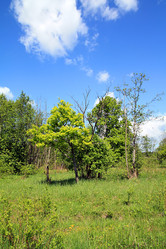 Similar image 881845