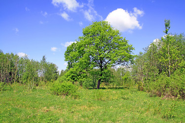 Similar image 881846