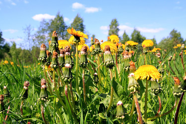 Similar image 881847