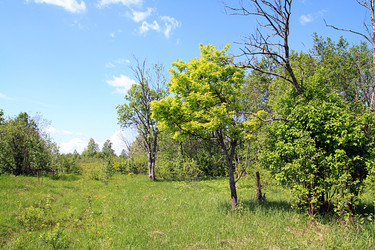 Similar image 881848