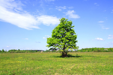 Similar image 881849