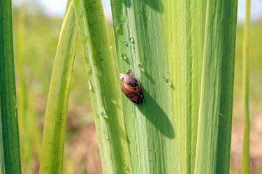 Similar image 881850